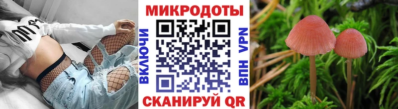 Купить  Минеральные Воды  Галлюциногенные грибы Cubensis 