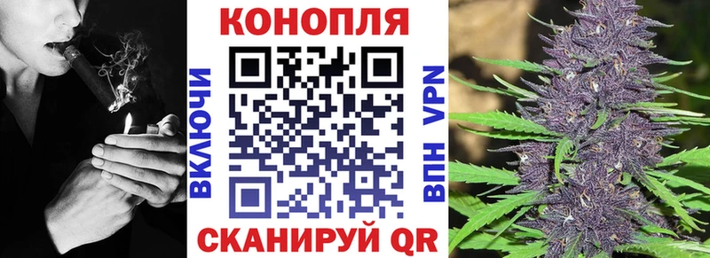 Бошки Шишки OG Kush  Купить закладки  Минеральные Воды 
